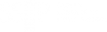 SSIP_Logo_white